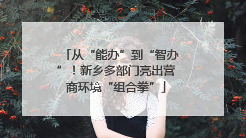 从“能办”到“智办”！新乡多部门亮出营商环境“组合拳”