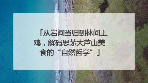 从岩间当归到林间土鸡，解码思茅大芦山美食的“自然哲学”