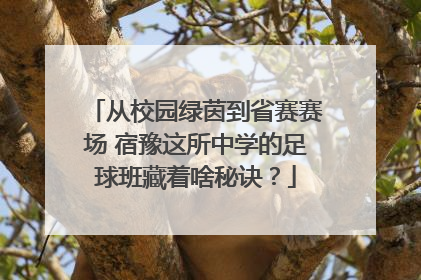 从校园绿茵到省赛赛场 宿豫这所中学的足球班藏着啥秘诀？