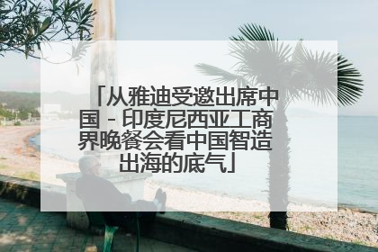 从雅迪受邀出席中国－印度尼西亚工商界晚餐会看中国智造出海的底气