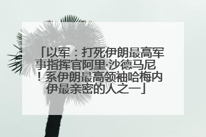 以军：打死伊朗最高军事指挥官阿里·沙德马尼！系伊朗最高领袖哈梅内伊最亲密的人之一