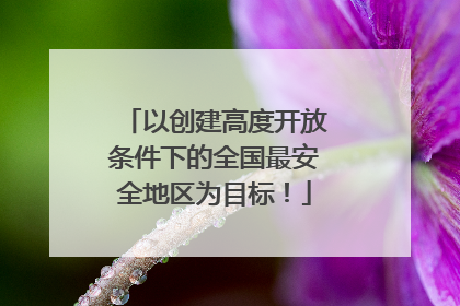 以创建高度开放条件下的全国最安全地区为目标！