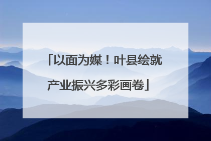 以面为媒！叶县绘就产业振兴多彩画卷