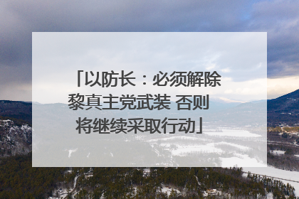 以防长：必须解除黎真主党武装 否则将继续采取行动