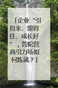 企业“引得来、留得住、成长好”，普陀营商引力场如何炼就？