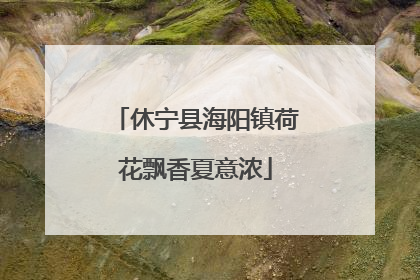 休宁县海阳镇荷花飘香夏意浓