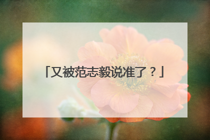 又被范志毅说准了？
