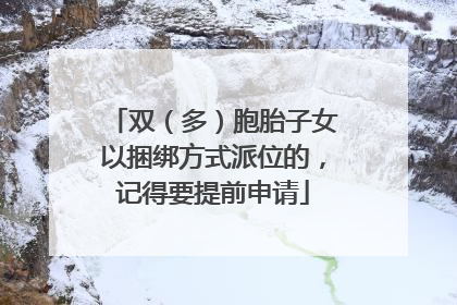 双（多）胞胎子女以捆绑方式派位的，记得要提前申请