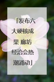 发布六大硬核成果 廊坊经洽会热潮涌动