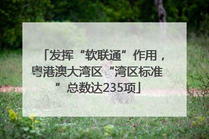 发挥“软联通”作用，粤港澳大湾区“湾区标准”总数达235项