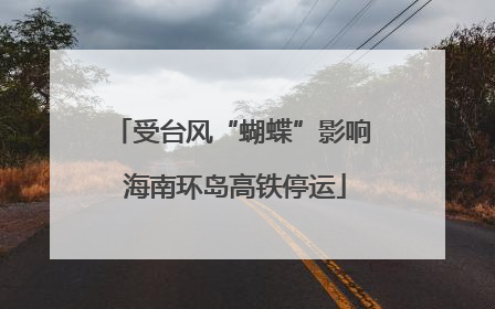 受台风“蝴蝶”影响 海南环岛高铁停运