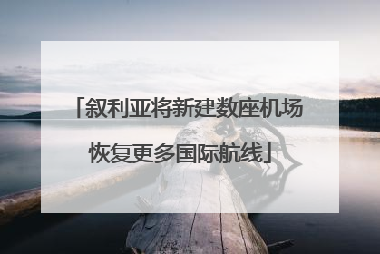 叙利亚将新建数座机场 恢复更多国际航线