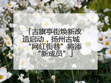 古旗亭街焕新改造启动，扬州古城“网红街巷”将添“新成员”