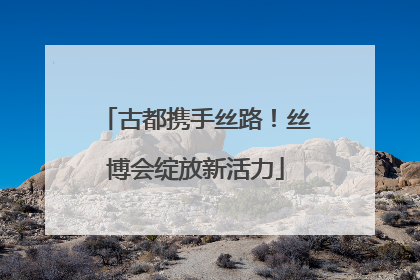 古都携手丝路！丝博会绽放新活力