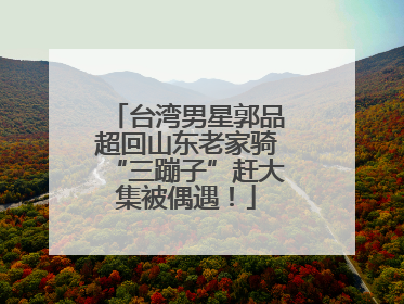 台湾男星郭品超回山东老家骑“三蹦子”赶大集被偶遇！