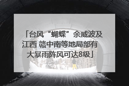 台风“蝴蝶”余威波及江西 赣中南等地局部有大暴雨阵风可达8级
