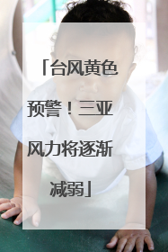 台风黄色预警！三亚风力将逐渐减弱
