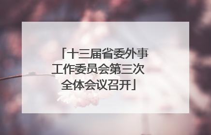 十三届省委外事工作委员会第三次全体会议召开