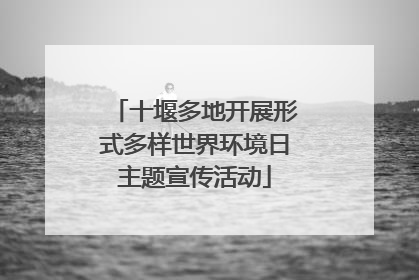 十堰多地开展形式多样世界环境日主题宣传活动