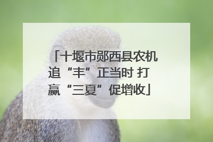 十堰市郧西县农机追“丰”正当时 打赢“三夏”促增收