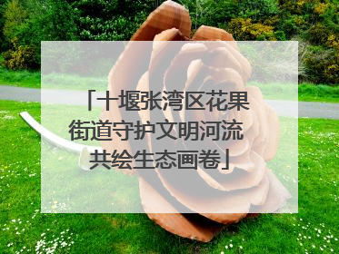 十堰张湾区花果街道守护文明河流 共绘生态画卷