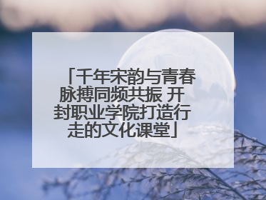 千年宋韵与青春脉搏同频共振 开封职业学院打造行走的文化课堂