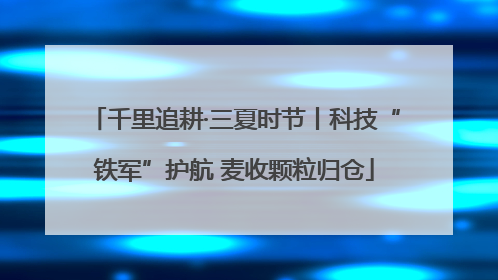 千里追耕·三夏时节丨科技“铁军”护航 麦收颗粒归仓