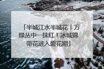 半城江水半城花丨万绿丛中一抹红！冰城锦带花进入盛花期