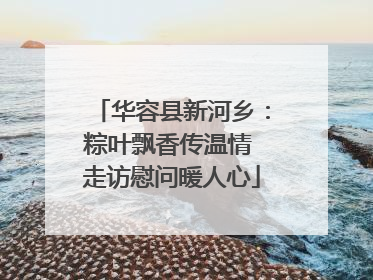 华容县新河乡：粽叶飘香传温情 走访慰问暖人心