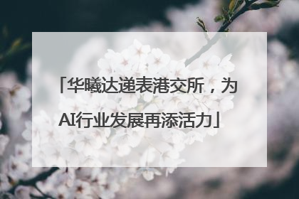 华曦达递表港交所，为AI行业发展再添活力
