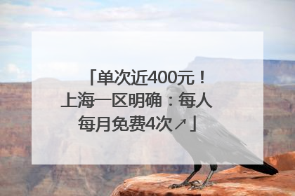 单次近400元！上海一区明确：每人每月免费4次↗