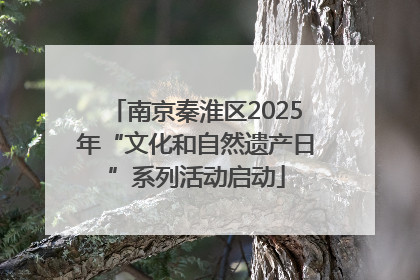 南京秦淮区2025年“文化和自然遗产日”系列活动启动