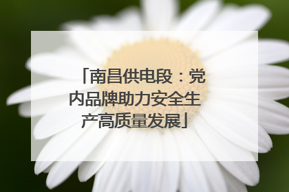 南昌供电段：党内品牌助力安全生产高质量发展
