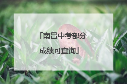 南昌中考部分成绩可查询