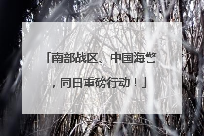 南部战区、中国海警，同日重磅行动！