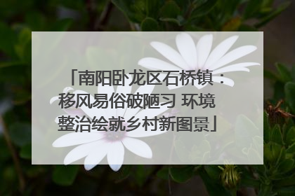 南阳卧龙区石桥镇：移风易俗破陋习 环境整治绘就乡村新图景