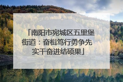 南阳市宛城区五里堡街道：奋楫笃行勇争先 实干奋进结硕果