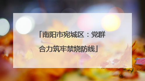 南阳市宛城区：党群合力筑牢禁烧防线
