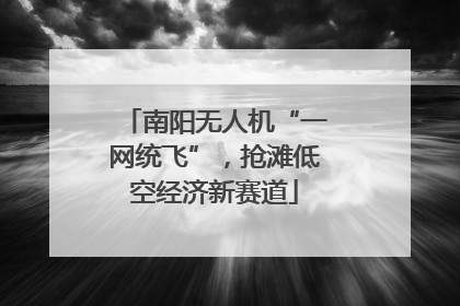 南阳无人机“一网统飞”，抢滩低空经济新赛道