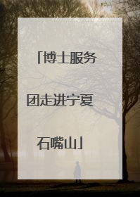 博士服务团走进宁夏石嘴山