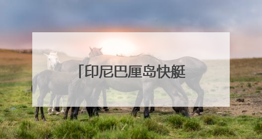 印尼巴厘岛快艇倾覆89人全部获救 亲历者：“像是乘坐了泰坦尼克号”｜封面头条