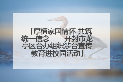 厚植家国情怀 共筑统一信念——开封市龙亭区台办组织涉台宣传教育进校园活动
