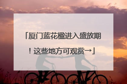 厦门蓝花楹进入盛放期！这些地方可观赏→