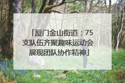 厦门金山街道：75支队伍齐聚趣味运动会 展现团队协作精神