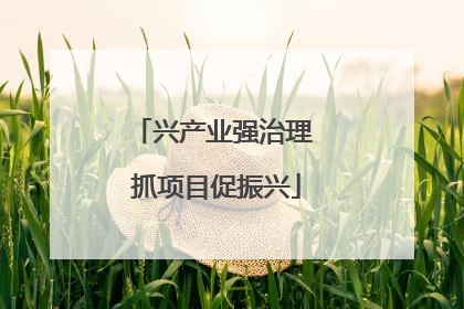 兴产业强治理 抓项目促振兴