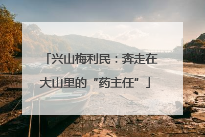 兴山梅利民：奔走在大山里的“药主任”