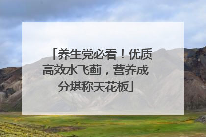 养生党必看！优质高效水飞蓟，营养成分堪称天花板