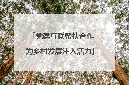 党建互联帮扶合作 为乡村发展注入活力