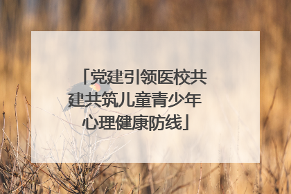 党建引领医校共建共筑儿童青少年心理健康防线
