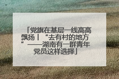 党旗在基层一线高高飘扬丨“去有村的地方”——湖南有一群青年党员这样选择